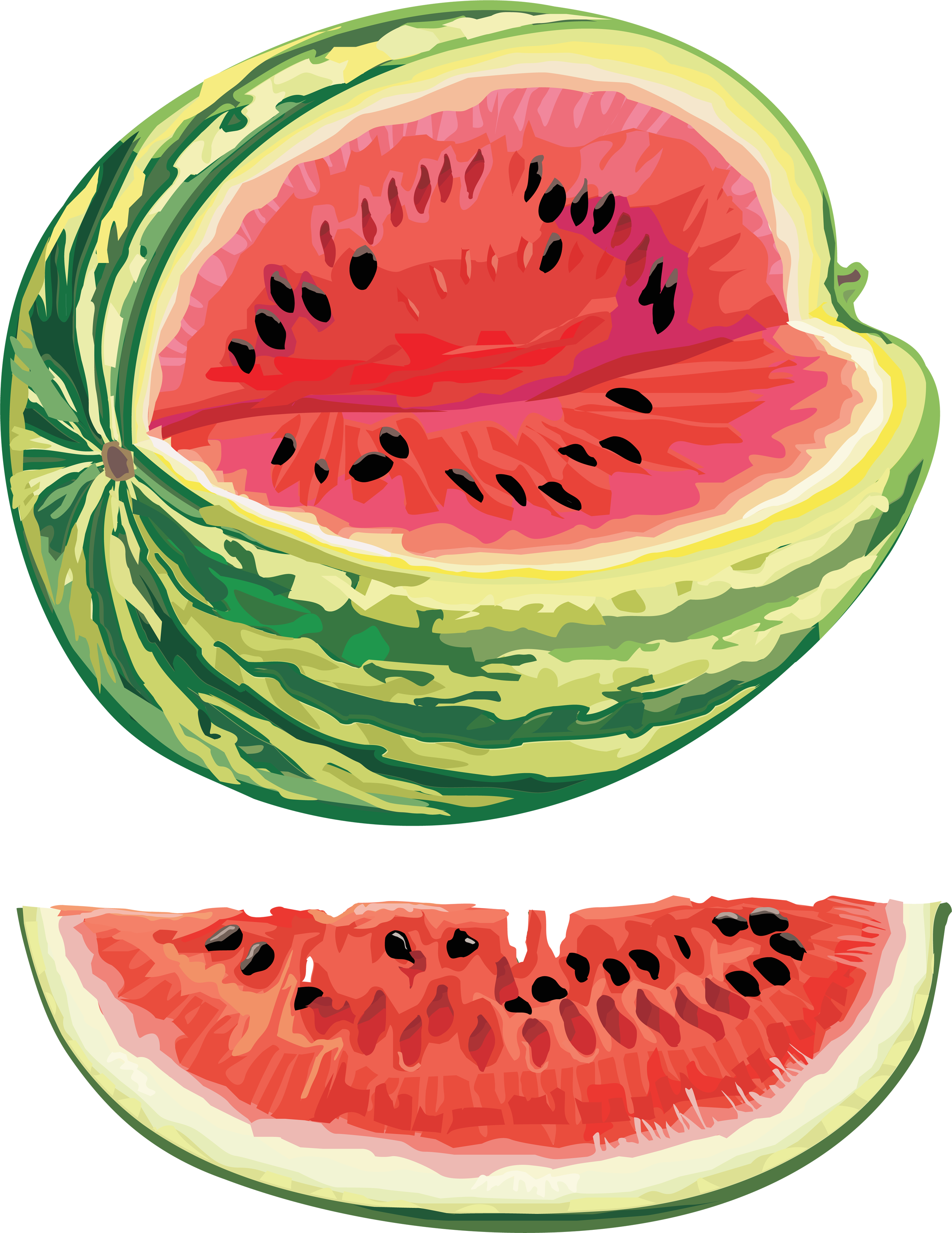 watermelon PNG image, HD Png Download is free transparent png image. 